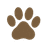 paw icon